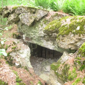 доты гулянка 2013 318.jpg