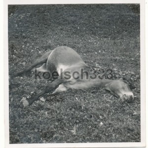 gjr99sonthofen17einf.jpg