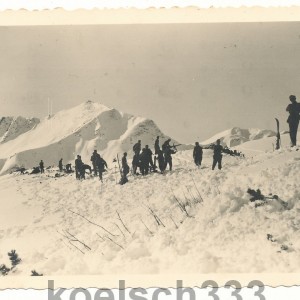 konvolutgjr99alpen084.jpg