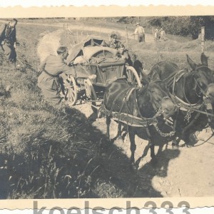 konvolutgjr99alpen024.jpg