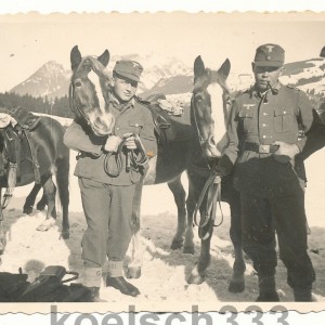 konvolutgjr99alpen014.jpg