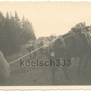 gjr9912unten.jpg