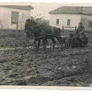 gjr99kradrusslandeinf.jpg