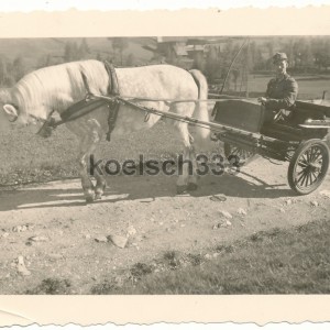 gjr99feldwagen03einf.jpg