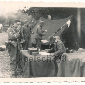 gjr99polenlohnappellunt.jpg