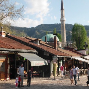 DSCI0331 (Копировать).JPG