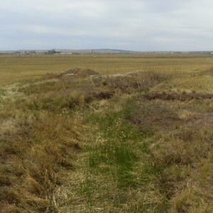 IMAG0023.JPG