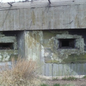 IMAG0028.JPG