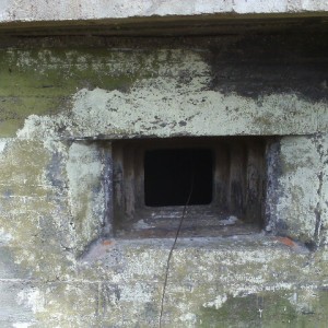 IMAG0029.JPG