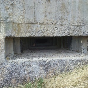 IMAG0041.JPG