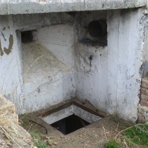 IMAG0043.JPG