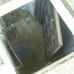 IMAG0044.JPG