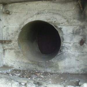 IMAG0045.JPG