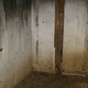 IMAG0051.JPG