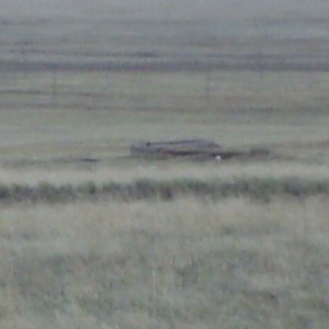 IMAG0083.JPG