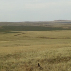 IMAG0073.JPG
