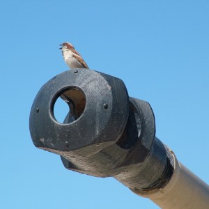DSCF6145.JPG