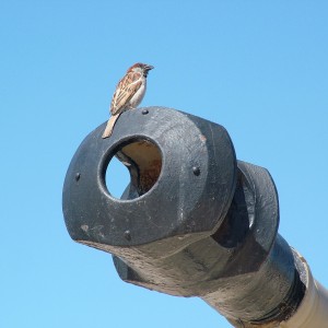 DSCF6147.JPG