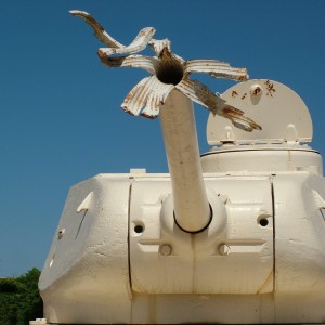 DSCF6199.JPG