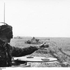 1053.jpg
