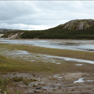DSC_9877.jpg