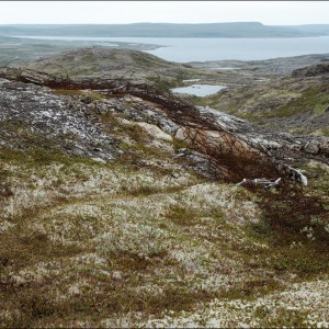 DSC_0189.jpg