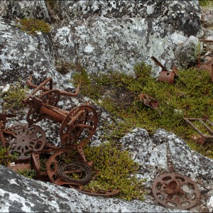DSC_0237.jpg