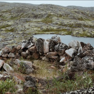 DSC_0239.jpg