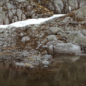 DSC_0266.jpg