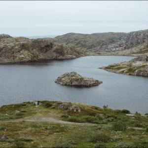 DSC_0334.jpg