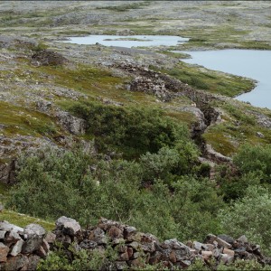 DSC_0529.jpg
