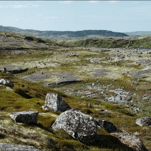 DSC_0631.jpg
