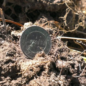 IMAG0213.jpg