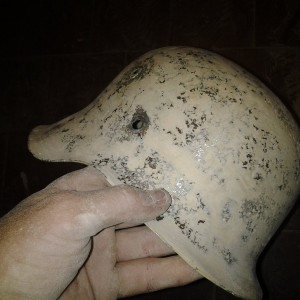 20130724_161620.jpg