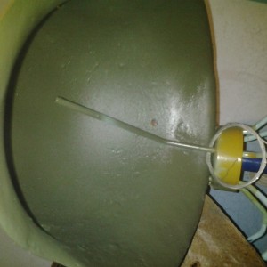 20130731_182002.jpg