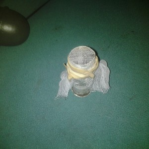 20130731_182023.jpg