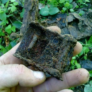 Pannal Tinult,juuni 2012.jpg