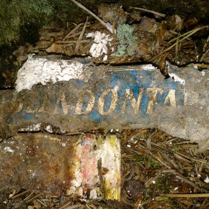 Saksa hambapasta Joora talu metsas.jpg