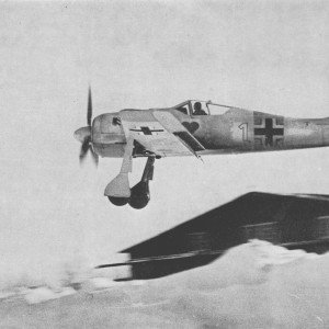 Fw90573.jpg