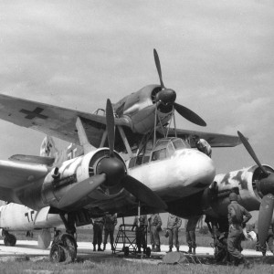 Mistle2_BG45.jpg