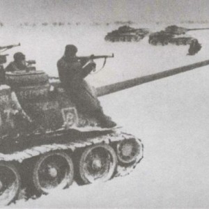 131.jpg