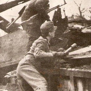 139.jpg