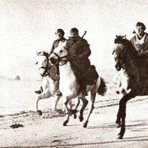 244.jpg