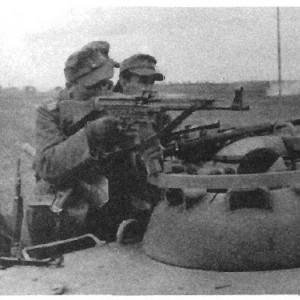 338.jpg