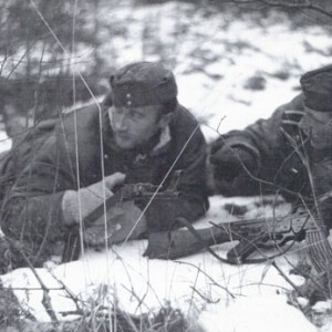 345.jpg