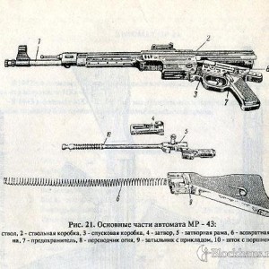 35.jpg