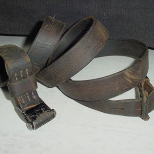 cog1.jpg