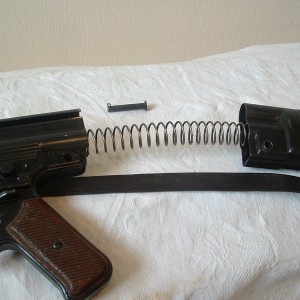 l+9556.JPG