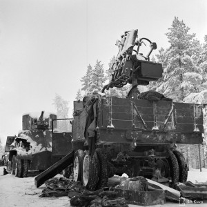 2943.jpg