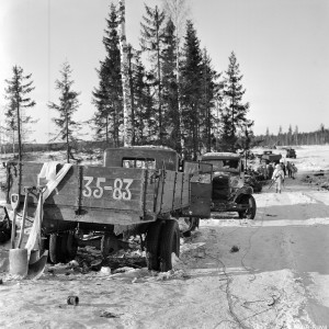 5315.jpg